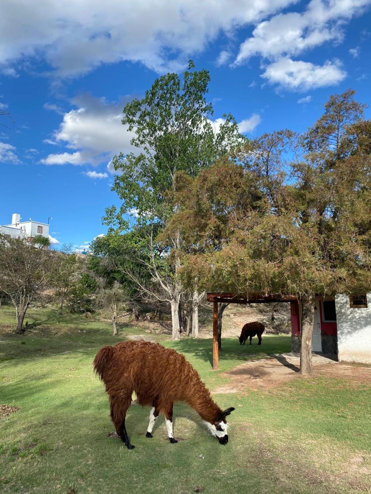 Cabanas Y Toboganes Rancho La Nata 미나 클라베로 외부 사진