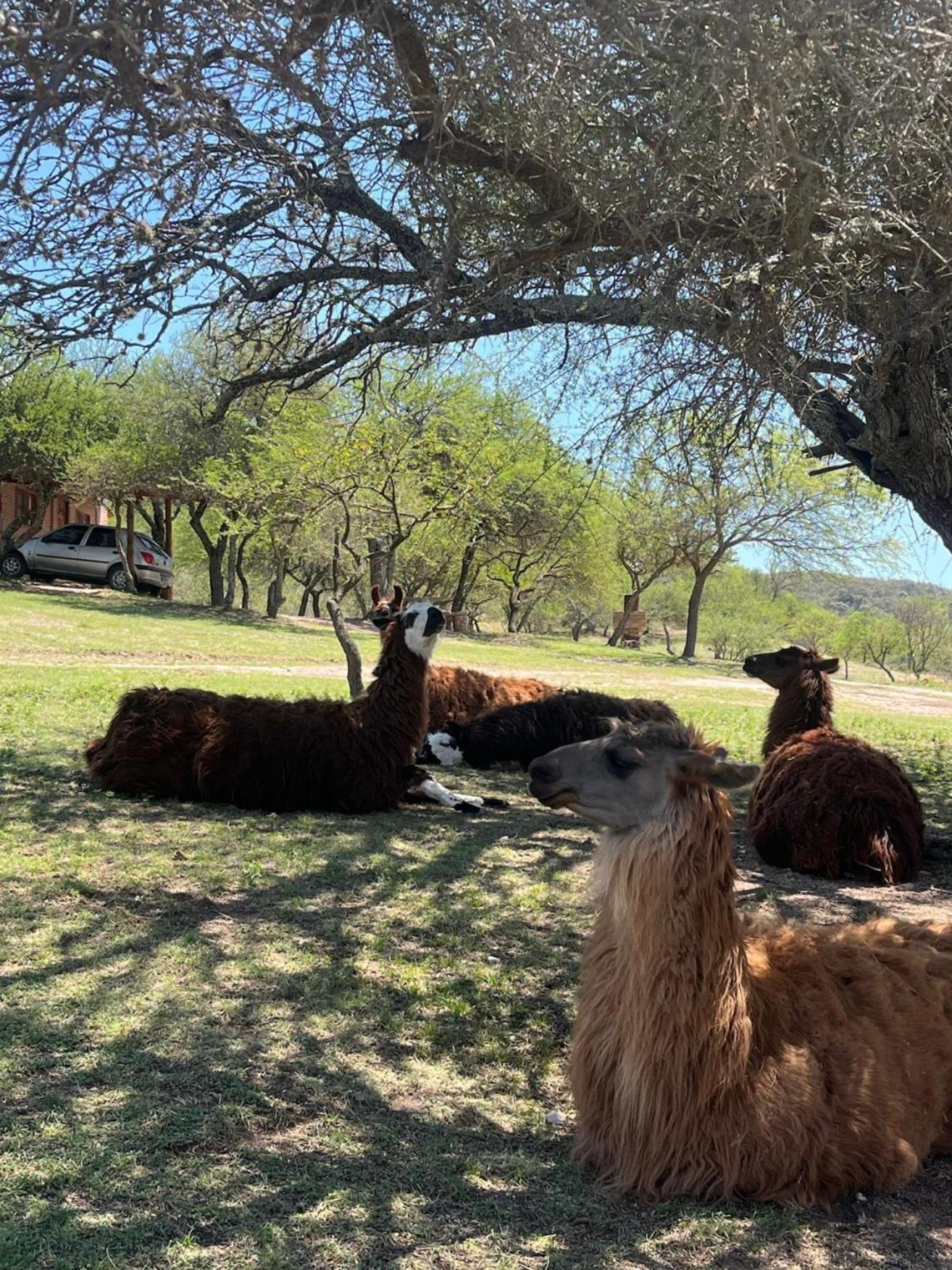 Cabanas Y Toboganes Rancho La Nata 미나 클라베로 외부 사진